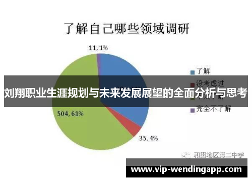 刘翔职业生涯规划与未来发展展望的全面分析与思考