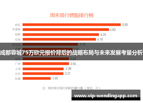 成都蓉城75万欧元报价背后的战略布局与未来发展考量分析