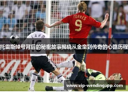 托雷斯绰号背后的秘密故事揭晓从金童到传奇的心路历程